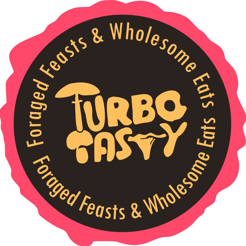 Turbo Tasty - Foraged Feasts & Wholesome Eats