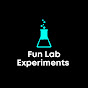 Fun Lab Experiments logo