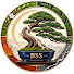 ulYLYOu2UrE-channel-avatar-Daniel Mori-Bonsai Season By Season