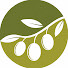 Gxr7v1cCues-channel-avatar-Biblical Foods