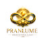 85J2SgneSEk-channel-avatar-PRANLUME