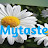 Mytaste