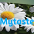 CIYt55BoQ4g-channel-avatar-Mytaste