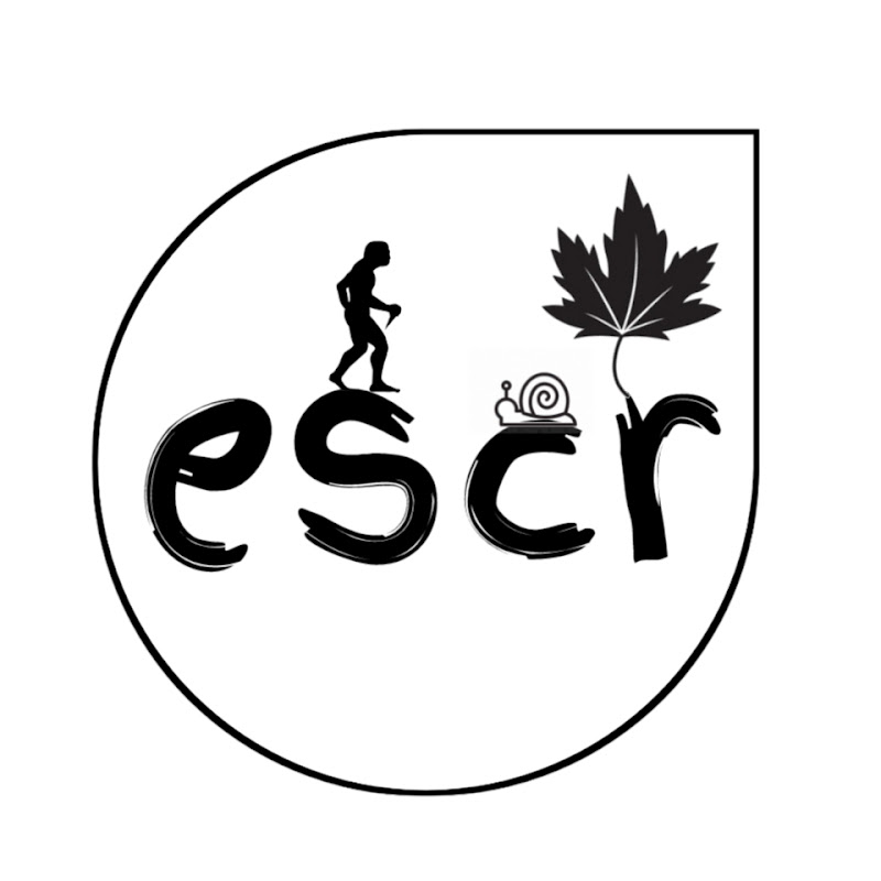 escr icon