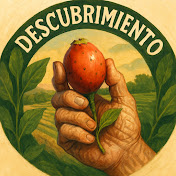 Descubrimiento