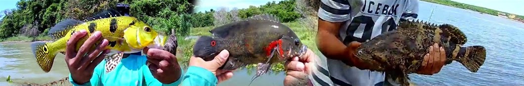 Pesca Selvagem رمز قناة اليوتيوب