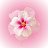 @LemiaWaleed-wm3qm