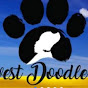 Midwest Doodle Pups logo