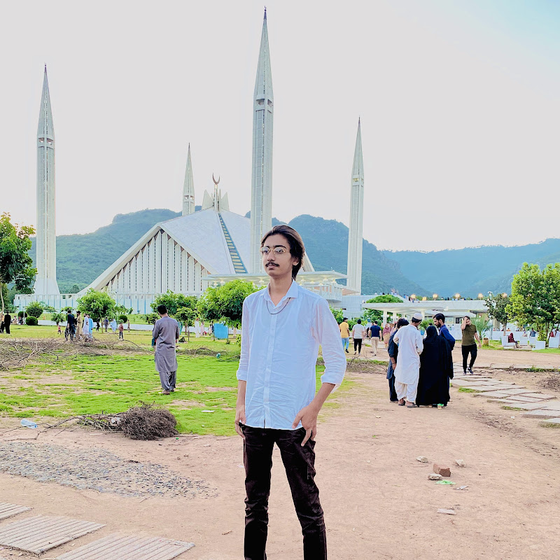 Talha Rajput