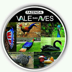 Fazenda Vale das Aves