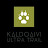 Kaldoaivi Ultra Trail