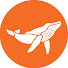 8pTNix-jZ2w-channel-avatar-SeaLegacy
