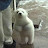 @thesugaratthebottomofthejar's avatar