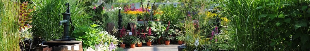 Zulauf Gartencenter Avatar de canal de YouTube