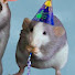 amZCKiCIefM-channel-avatar-Rat Boy 