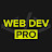 @web-dev-pro