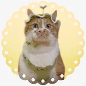 散歩大好きもんぶらん🐈