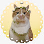 散歩大好きもんぶらん🐈