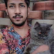 Cat lovers Anantapur