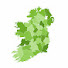 VCqgI1ux7Uw-channel-avatar-Grá Amháin