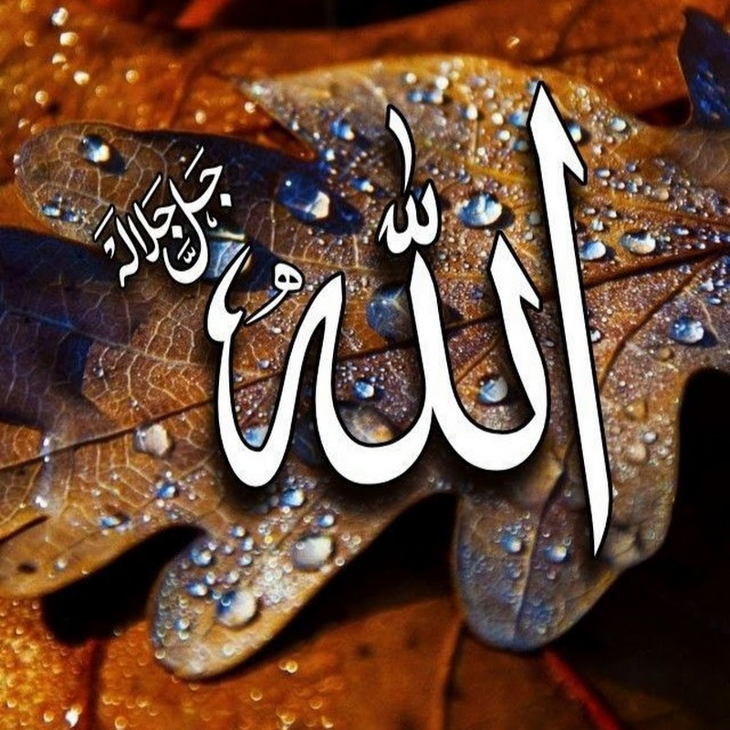 Islamic official video 1