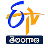 What could ETV Telangana buy with $7.19 million?