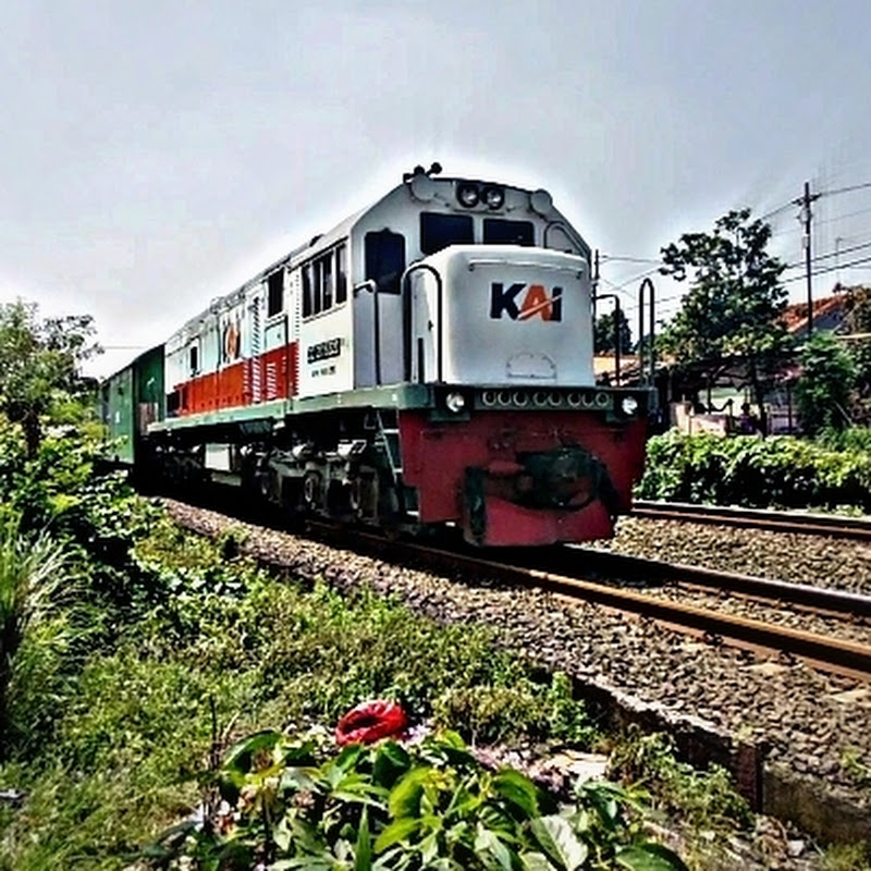 Hire Marlon Spotting Train — Travel & Adventure YouTube creator for sponsorships