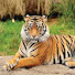 n_GTxtw5QUc-channel-avatar-Just Animal lover