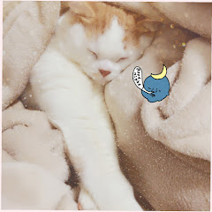まめひよよ