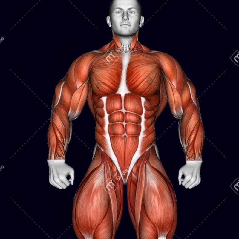 BODYWORKOUT