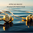 el1KOcCCvM8-channel-avatar-Serene African Vibes