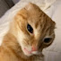 B7JJ3pQPn58-channel-avatar-Bofang Chang