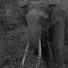 nZmsudfKjsI-channel-avatar-Rohak TreknTravel