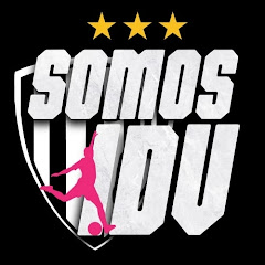 Somos IDV