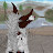 @kathrynkat's avatar