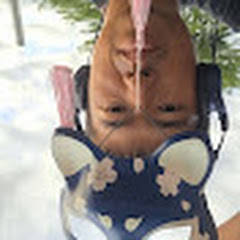 情報屋車井研太次期当主