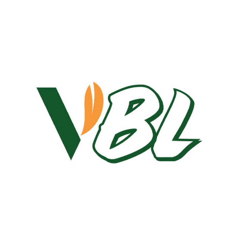 Vivibosslink