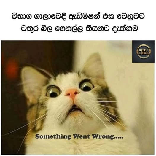 Post from Apilage Meme SL