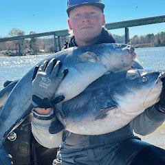Crimson Catfishing