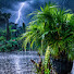 indkSuNJAHk-channel-avatar-Rainfall Sanctuary