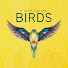 S0dsKuG4nrA-channel-avatar-agamecalledbirds