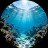 8DImBbsrS-A-channel-avatar-OceanSea Drama