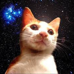 昴宿星貓アイコン画像