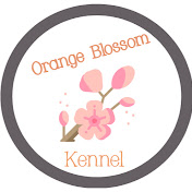 Orange Blossom Kennel