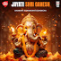 jTRKzUT0oHI-channel-avatar-Ramakant Gundecha - Topic