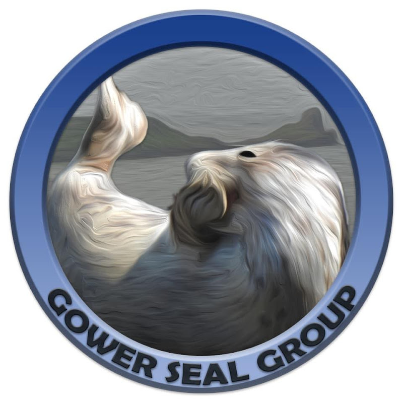 Gower Seal Group