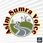 Asim Sumra voice  .9.8M views .9 Days ago logo