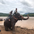 LWW8QrXga-Y-channel-avatar-Elephant Channel ぞうさん旅行チャンネル