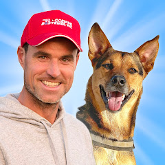 DE VLOGGENDE BESTEMMING net worth