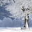 @winter-flower
